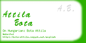 attila bota business card